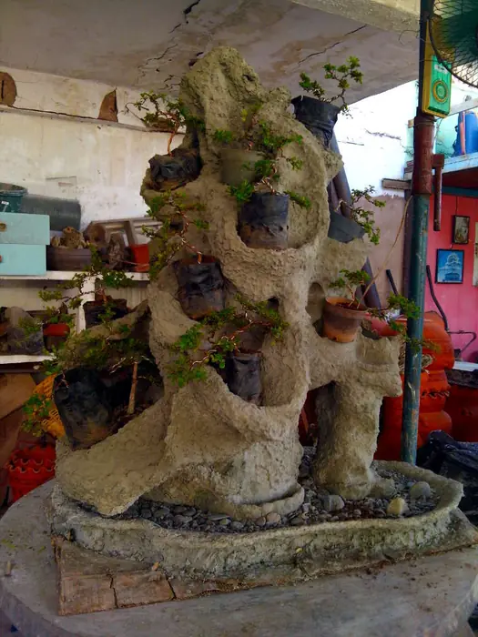 Montaje del paisaje tropical sobre roca (3 de 12)