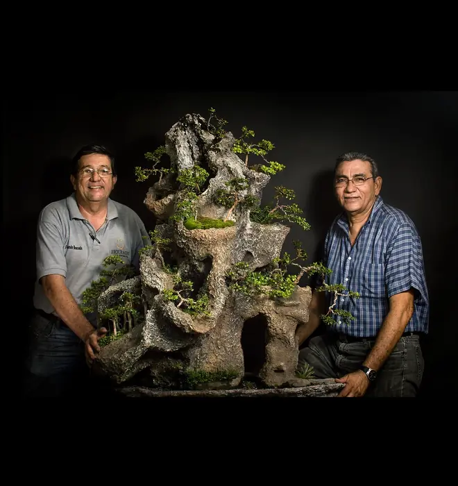 Montaje del paisaje tropical sobre roca (12 de 12)