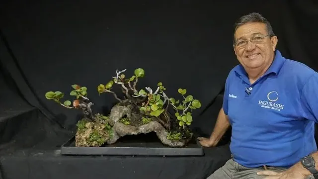 Portada del vídeo: Paisaje de uvas de playa